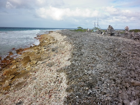 Coral rubble along the shore of Tahanea pass June 2015